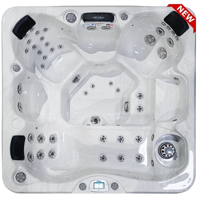 Avalon-X EC-849LX hot tubs for sale in Worcester